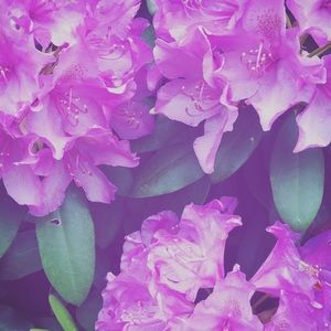 Meet your Posher, Madeline